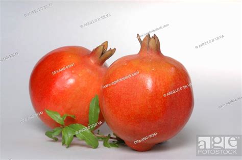 Food Pomegranate Dalim Punica Granatum Linn Stock Photo Picture