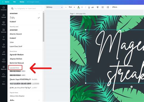 Are Canva Pro Fonts Free For Commercial Use Best Design Idea