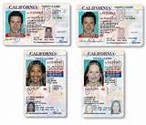 Images of Ab 60 License California