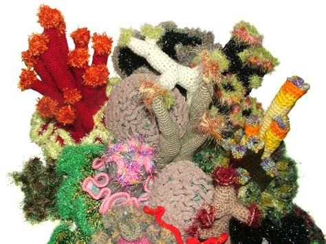 Hyperbolic Crochet Coral Reef Sunshine Coast Queensland Australia