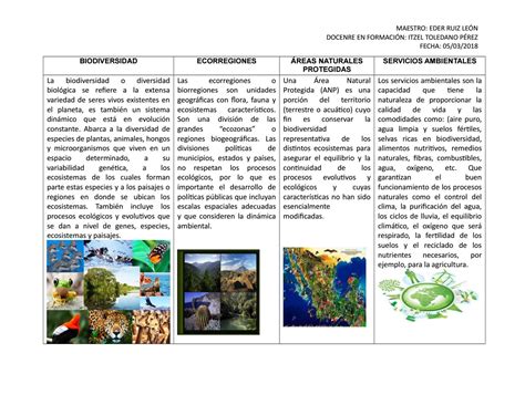 Cuadro Comparativo De Los Ecosistemas Terrestres Y Acuaticos Amoci