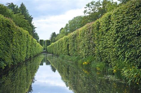 41 Incredible Garden Hedge Ideas For Your Yard Garden Hedges Shade
