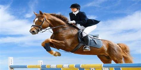 Quiz Only A True Equestrian Can Answer These 22 Riding Questions