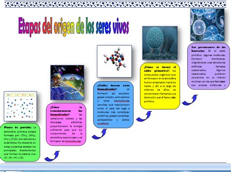 Con Ciencia Para La Vida Esquema Secuencial De Las Etapas Del Origen