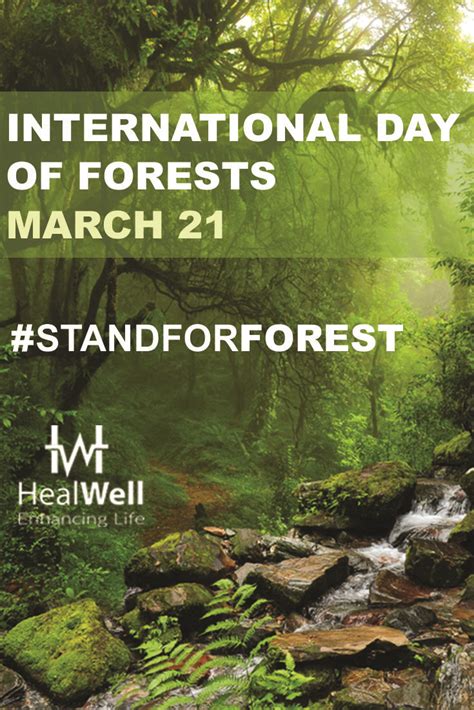 March 21st Is The International Day Of Forests Countries Are