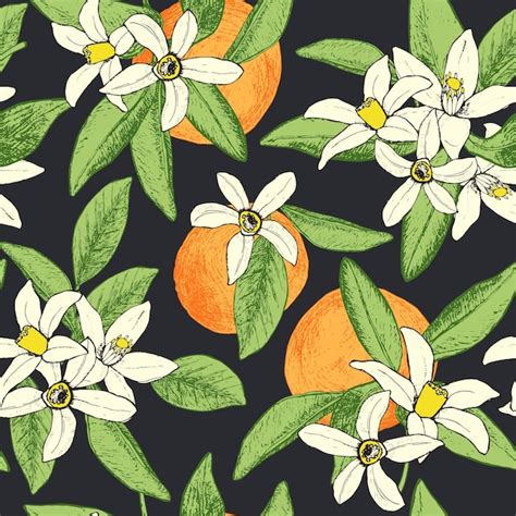 Premium Vector Seamless Pattern Of Isolated Hand Drawn Oranges And