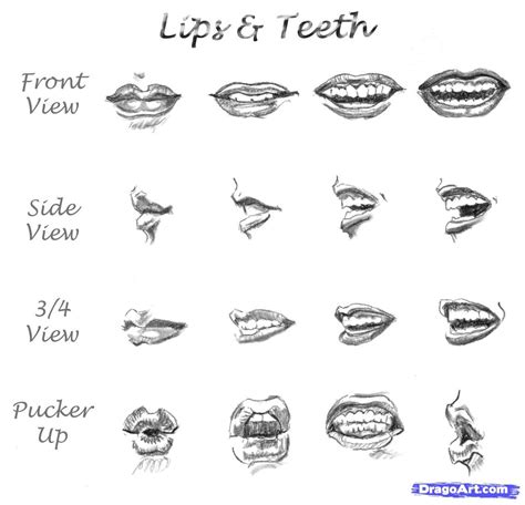 Step 11 How To Draw Realistic Lips Sketch Lips Lips Drawing