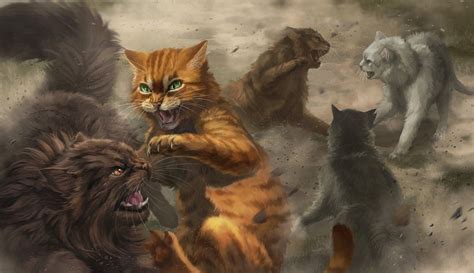 Warrior Cats Quiz Which 1 Of 10 Cats Is Same As You