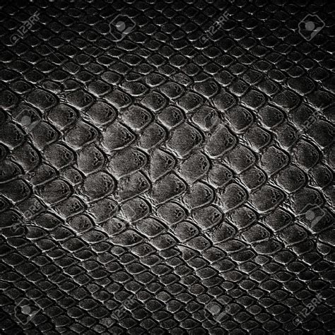 Snake Black Skin Leather Texture Leather Texture Snake Black Black Skin