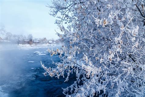 Winter Nature Landscape Frosty Trees On River Side Winter Morning