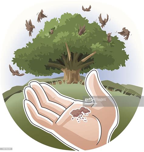 Parable Of The Mustard Seed High Res Vector Graphic Getty Images