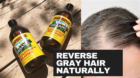 Reverse Your Grey Hair Naturally With Blackstrap Molasses Youtube