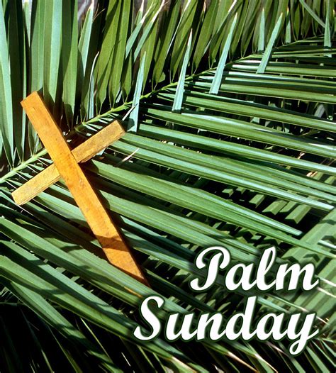 Palm Sunday Celebratedobserved On April 10 2022 ⋆ Greetings Cards