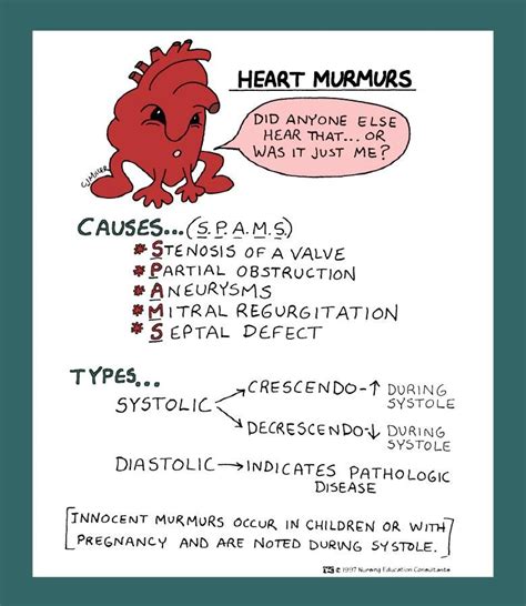 Heart Murmurs Pediatric Nursing Nursing Mnemonics