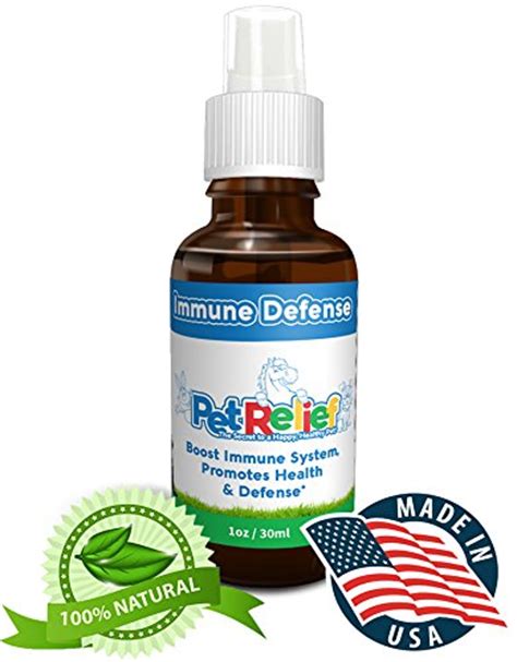 Boost Dog Immune System Natural Cough Medicine And Supplements For Dogs