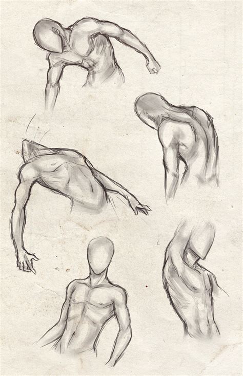 Drawing by daniel, anatomy master class student. male torso practice by sweet-shop on DeviantArt