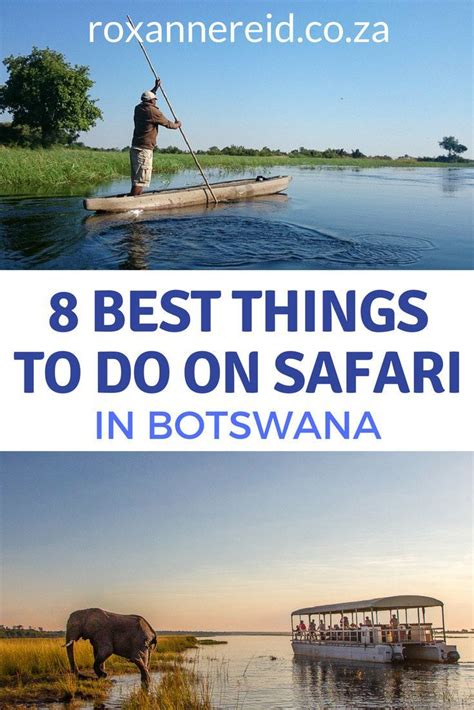 8 Best Things To Do On Safari In Botswana S Okavango Chobe Kalahari And Makgadikgadi Okavango