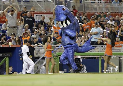 Woman Sues Over Shark Attack During Marlins Game Ny