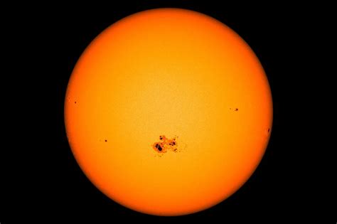 Sunspots And Stranded Whales A Bizarre Correlation The New York Times