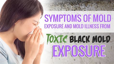 Symptoms Of Mold Exposure And Mold Illness From Toxic Black Mold Exposure Youtube