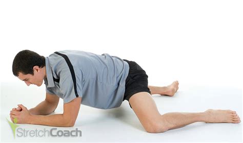 Groin Stretching Exercises