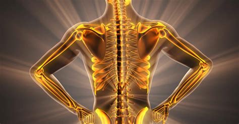 Things You Should Do Daily To Boost Your Bone Health — Activeman