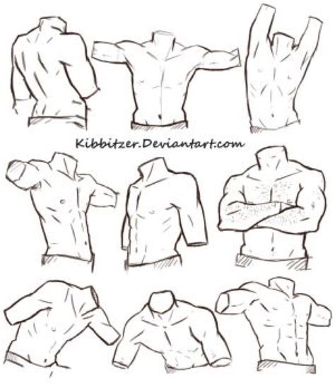 Male Torso Reference Sheet By Kibbitzer On DeviantArt Human Figure