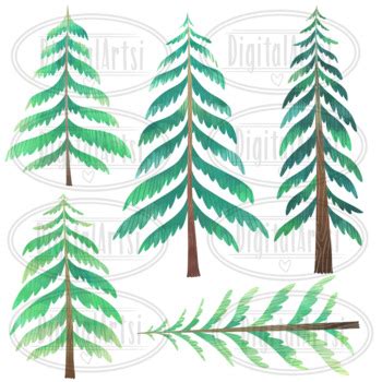 Watercolor Pine Trees Clipart By Digitalartsi Tpt