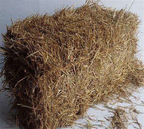 All Natural Full Sized Organic Wisconsin Barley Straw Bale