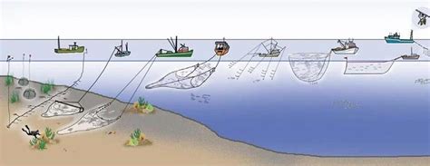 Redes De Pesca Descubre Todos Los Tipos Y Usos Espesca