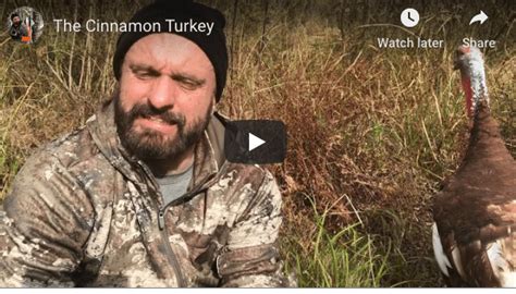 The Truth About Color Phase Turkeys Video Higher Calling Wildlife