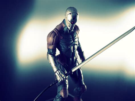 Gray Fox Wallpaper Wallpapersafari