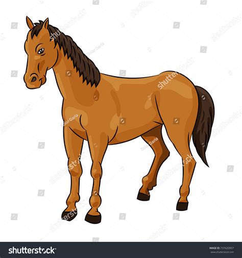 Illustration Horse Standing Isolated On White Stock Vector Royalty
