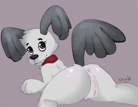 Rule 34 Anus Ass Bedroom Eyes Canine Female Furry Looking At Viewer No Humans Pound Puppies