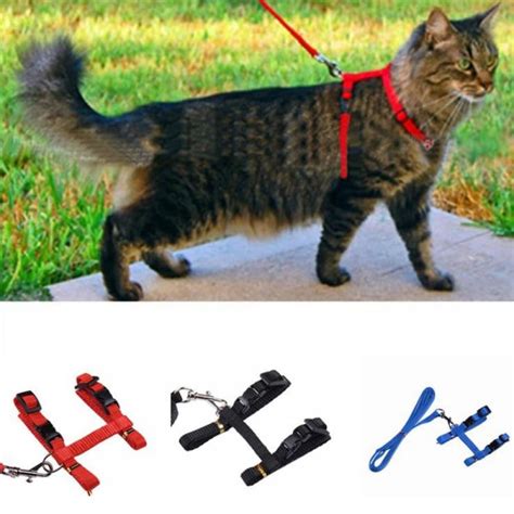 Cat Harness With Leash Kitty Harness And Bungee Leash Adjustable Safe