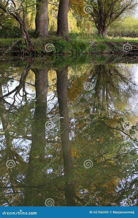 Trees Reflected In River On Autumn Sunny Day Stock Image Image Of