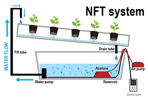 Nutrient Film Technique Indoor Organic Growing System For The Home