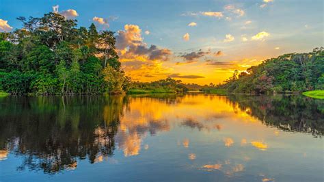 Manaus Tour Guide: Amazon Rainforest Adventure Awaits 4