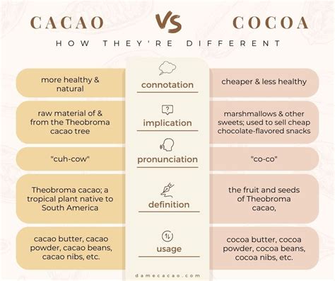 Cacao Vs Cocoa How Theyre Different Expert Reveals