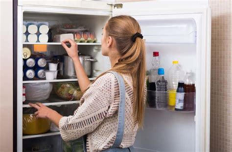 6 Tiny Dead Bugs In The Fridge How To Get Rid Of Them