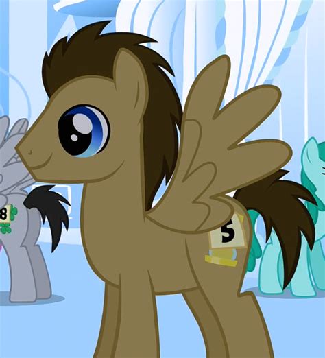 Dr Hooves My Little Pony Friendship Is Magic Wiki Fandom