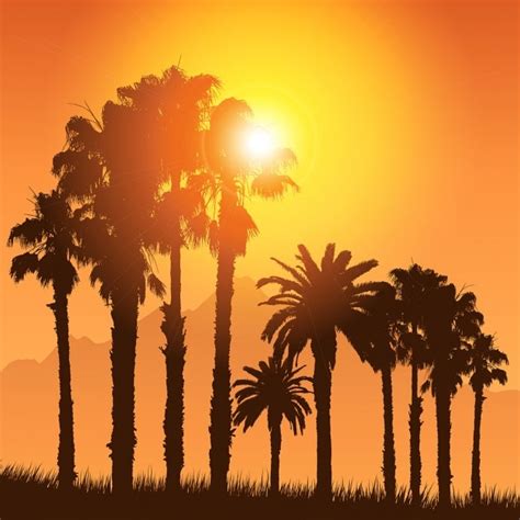 Free Vector Tropical Landscape With Silhouettes Of Palm Trees Against