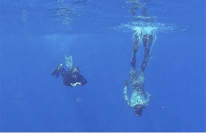 Mh370 Flight Divers Debris Ocean Malaysia Underwater
