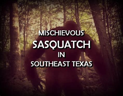 Mischievous Sasquatch In Southeast Texas Bigfoot Sightings Texas