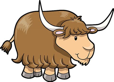 Top Yak Clip Art Vector Graphics And Illustrations Istock