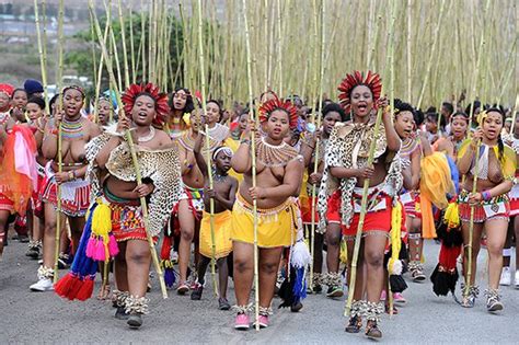 Sabc To Broadcast Zulu Reed Dance