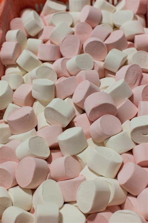 Pink And White Marshmallow Candies Stock Image Image Of Photographed