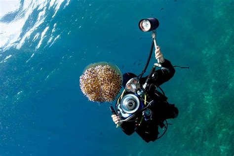 Dive Hacks 20 Underwater Photography Tips And Tricks From The Pros