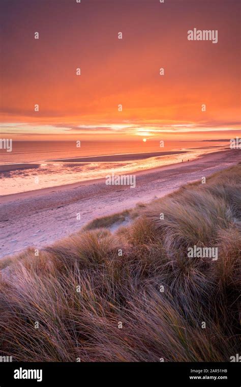 Dune Landscape Of North Sea Coast In The Morning Hi Res Stock