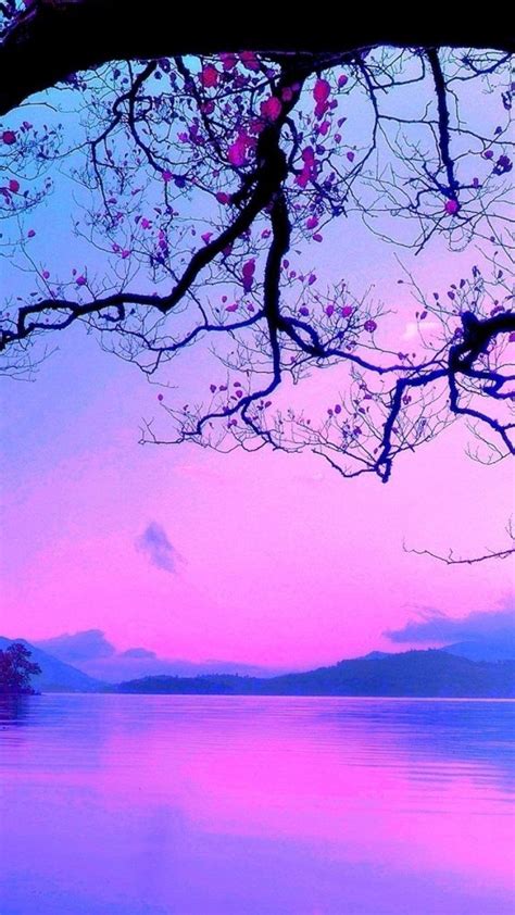 Purple Beach Sunset Wallpapers Top Free Purple Beach Sunset